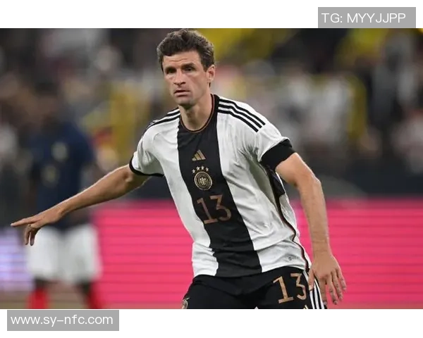 2017年德国足球明星的辉煌成就与未来发展展望