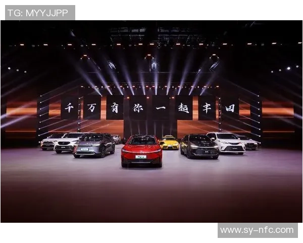 上海排球队征战洲际杯的拼搏历程与荣耀时刻回顾 上海排球队征战洲际杯的拼搏历程与荣耀时刻回顾