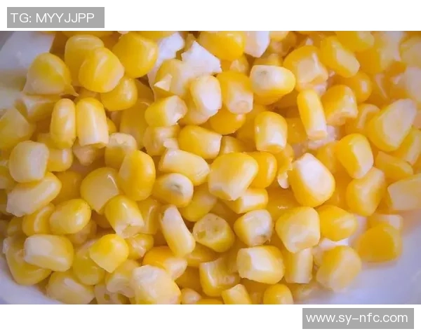 刘芳独家分享网球心得与技巧助你提升球技的全面指南