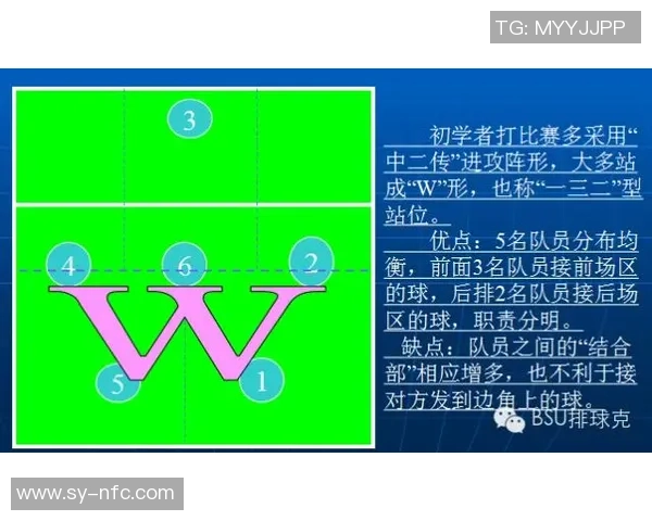 北京排球队战术解析与未来发展方向探讨