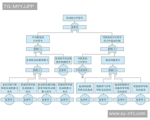 北京篮球队在联合会杯中的心理素质分析与表现评估