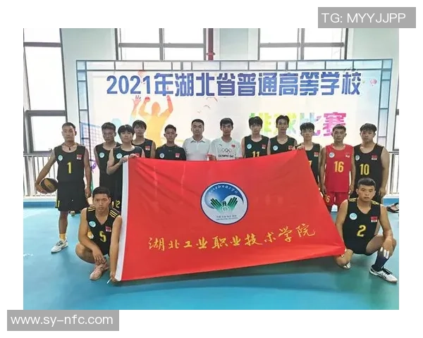 排球比赛经验排行榜揭晓北京排球队荣获第五名佳绩 排球比赛经验排行榜揭晓北京排球队荣获第五名佳绩