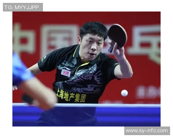 深圳排球队以57分领跑精英赛积分榜展现强劲实力 深圳排球队以57分领跑精英赛积分榜展现强劲实力