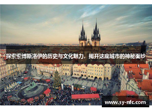 探索索博斯洛伊的历史与文化魅力，揭开这座城市的神秘面纱