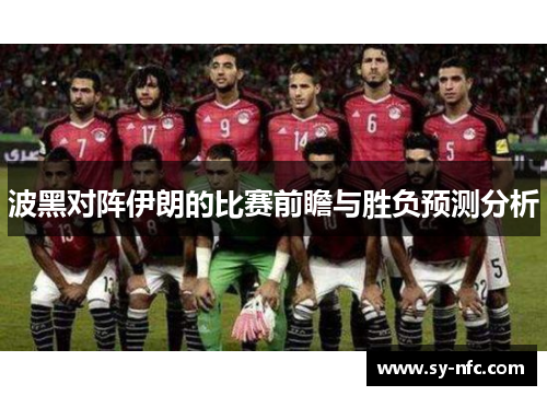 波黑对阵伊朗的比赛前瞻与胜负预测分析