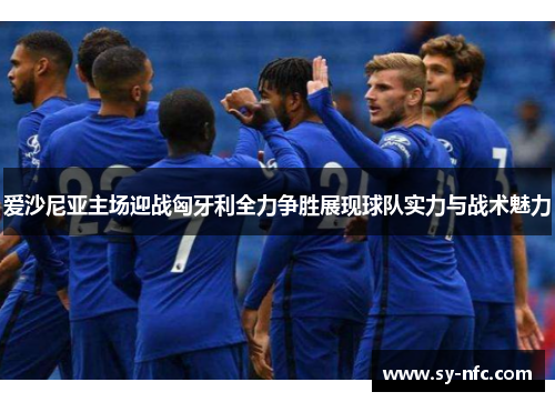 爱沙尼亚主场迎战匈牙利全力争胜展现球队实力与战术魅力